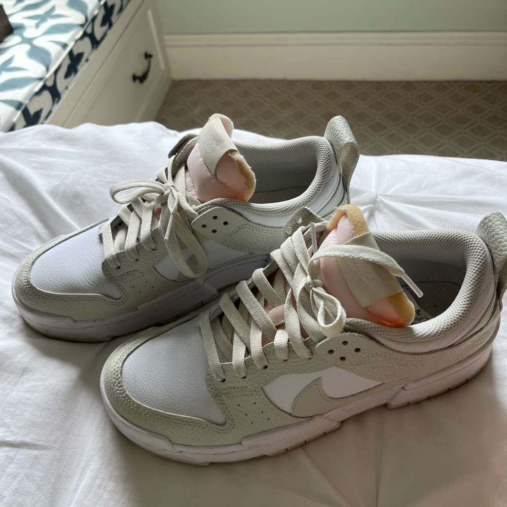 Nike Dunk Low Disrupts